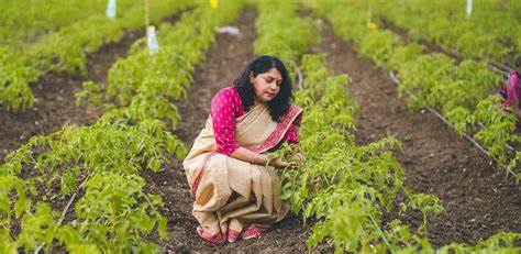 Assam Government working for welfare of Assam farmers, SHC distribution