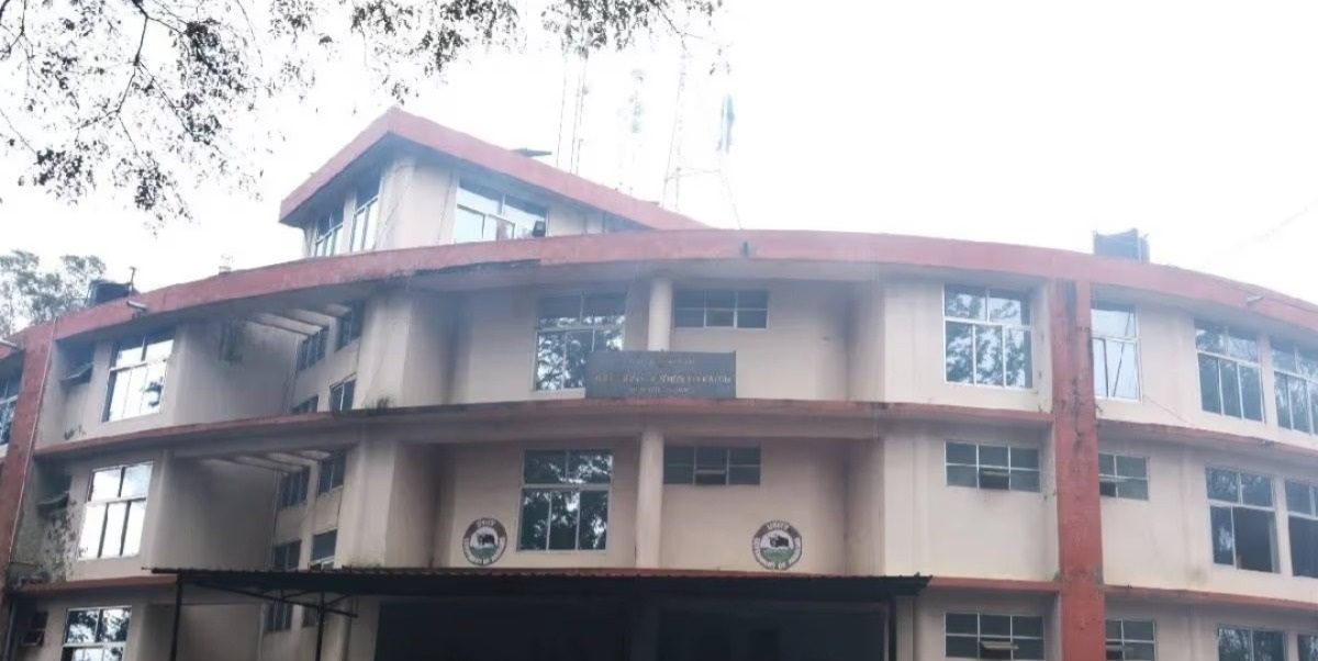 Amid pressure from 5-tribe group, Nagaland sets up panel to review decades-old reservation policy